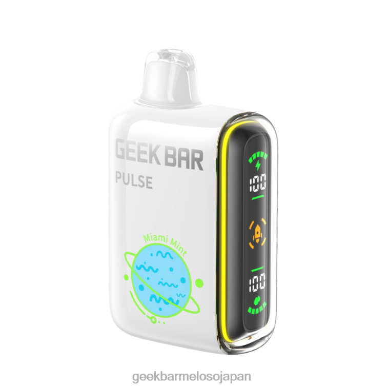 8RFPL56 Geek Bar Pulse 15,000 個の使い捨て電子タバコ マイアミミント | Geek Bar cigarettes