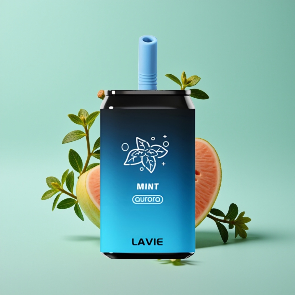 LAVIE Aurora 11000 Puffs ミント 0%・2%・5% 22ML 650mAh Type-C